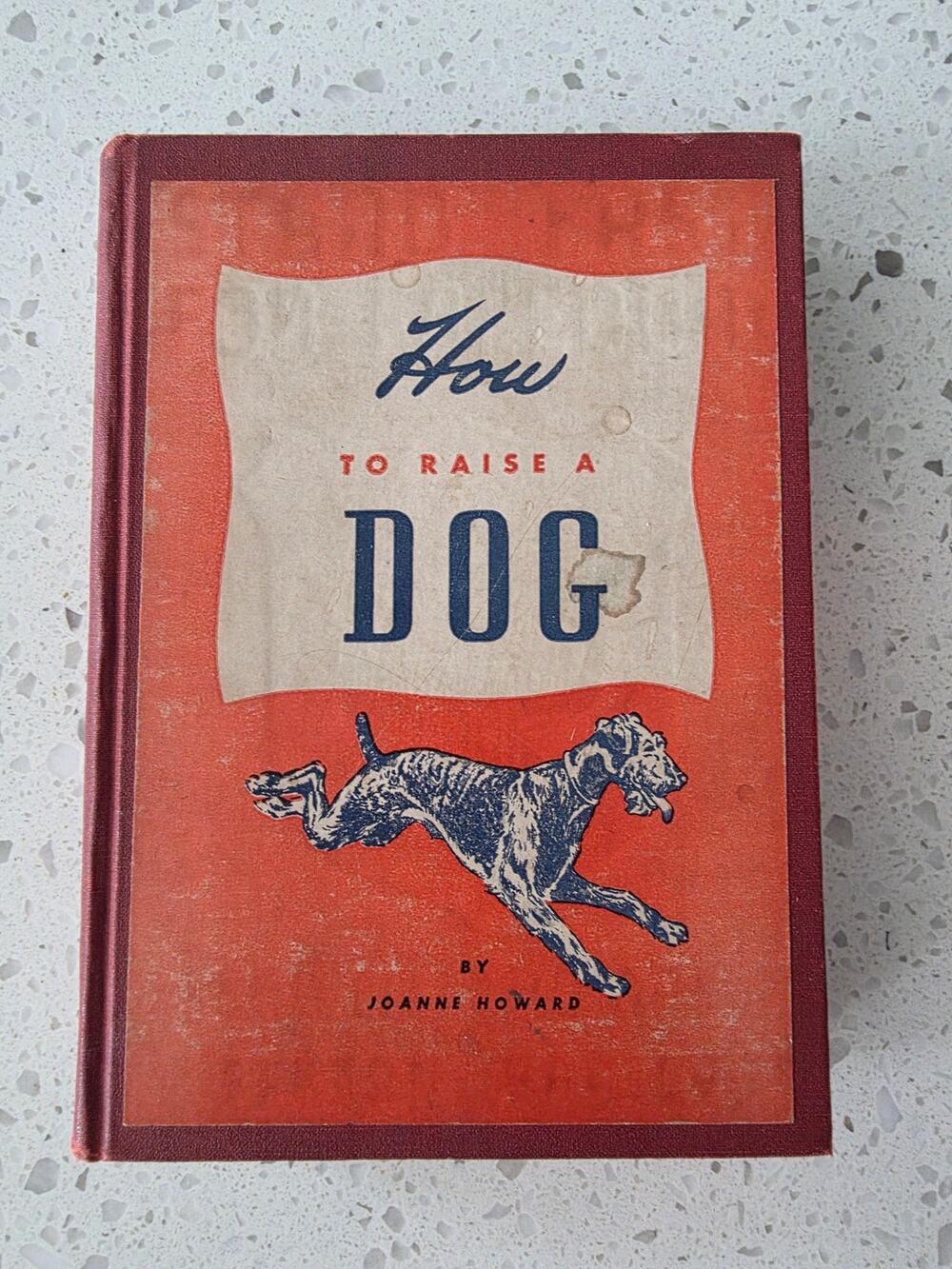 1950s/60s Prank Book W/Spring-Loaded PopUp How to Raise a Dog Joanne Howard